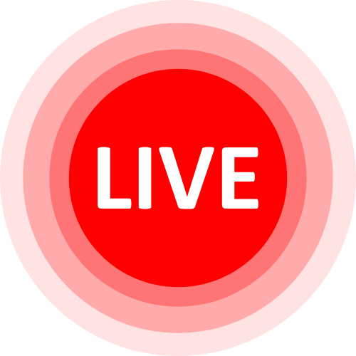 Camonster Stripchat